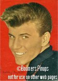  © boomers pinups work product - bobby rydell picture