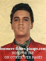  © boomers pinups work product - elvis presley with scarf picture