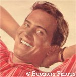  © boomers pinups work product - pat boone picture
