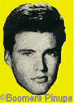  © boomers pinups work product - ricky nelson picture