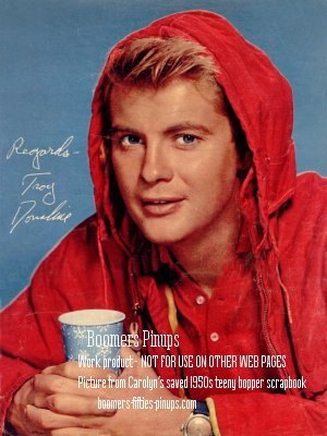  © boomers pinups work product - troy donahue picture