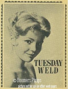 Tuesday weld tuesday weld tuesday hi-res stock photography and